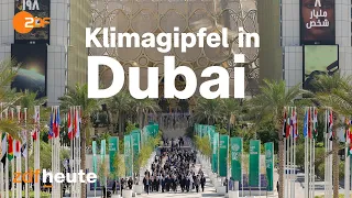 Klimakonferenz in Dubai als Klimakiller? Gipfeltalk bei COP28 | auslandsjournal