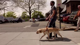 Guide Dog at Work Video