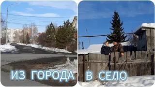 Ответы на ваши вопросы / Купили дом не глядя / О нас .