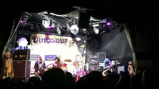 Dinosaur Jr. W/ Valarie June - Feel the Pain - Dec 5 2015