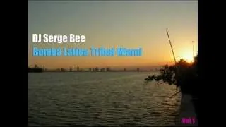 TRIBAL/LATIN/TECH MIX by DJ SERGE BEE - BOMBA MIAMI PART 1 (2009-2012)