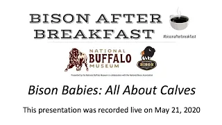 Bison After Breakfast - Bison Babies: All About Calves, May 21, 2020