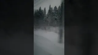 🚅поезд на Усинск.