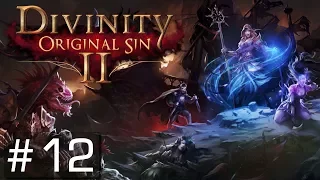 DIVINITY: ORIGINAL SIN 2 | #12 | Bombastische Schweine