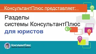 Руководство пользователя Консультант Плюс (10) - Разделы системы КонсультантПлюс для юристов