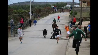 Segundo encierro a caballo de Barruecopardo