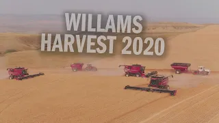 Williams Brothers Wheat Harvest 2020 - Aerial Reel