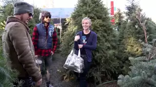 Christmas leto tree