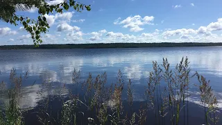 НЕЖНАЯ, КРАСИВАЯ ПЕСНЯ  - СЧАСТЬЕ