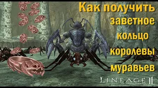 Фарм Королевы Муравьев Соло ! Lineage 2 Interlude x1! (Ant Queen)