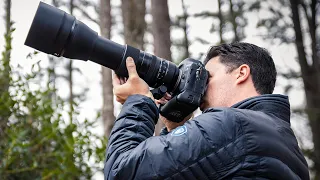 Tamron SP 150-600mm G2 Review: A WILDLIFE PHOTOGRAPHY BEAST