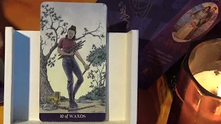 Pagan Tarot - Full Flip Through of Each Card