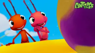 Sticky Sweet | Antiks 🐜 | Funny Cartoons for Kids