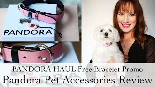 Pandora Haul | Pandora Pet Accessories | Pandora Dog Collar Plus, free Pandora Bracelet Promo