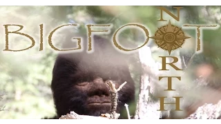 Discovering Bigfoot.  The first feature film showcasing real live interactions with Sasquatch
