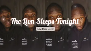 The Lion Sleeps Tonight | Low Bass Cover