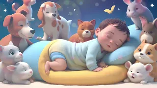 Summer Tales 💤🧸🌙 Dreamland Adventures | A Gorgeous Lullaby with Cute Visuals | Storytunes Wonderland
