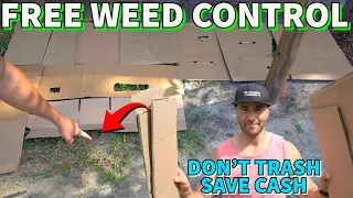 I Put CARDBOARD On Weeds 6 Months Ago And THIS Happened!