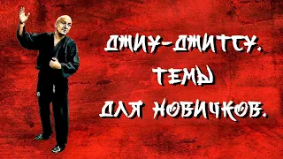 Джиу-джитсу. Темы для новичков.