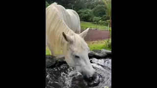 Алмат Асыланбек🔆Байден..Байден...