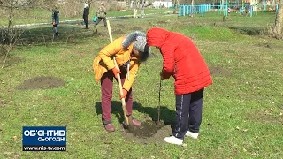 Об'єктив 14 04 21 Біля 3000 дерев висаджено на території Кам’яномостівської ОТГ