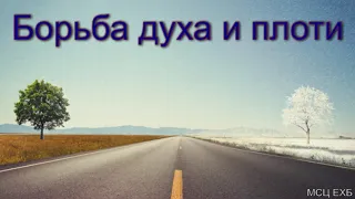 "Борьба духа и плоти". П. Г. Костюченко. МСЦ ЕХБ