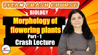 Biology l Morphology of Flowering Plants 1 l Titan Crash Course l NEET