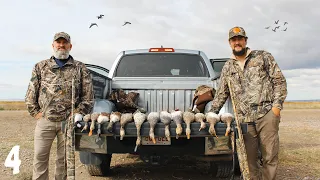 AMAZING Duck Hunt In UTAH! (LIMITS!) | Utah Duck Hunting 2022