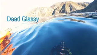 Crystal Clear Shore Dive -Big Paua & Kina