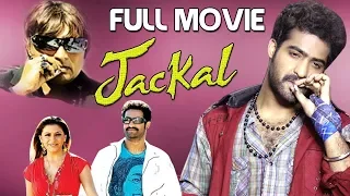 Jackal Full English Dubbed Movie HD | NTR | Hansika | Sunil | Kantri Telugu Movie