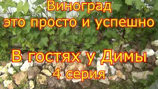 4 серия. Виноград это просто и успешно. В гостях у Димы