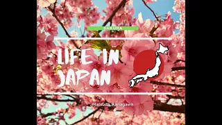 Life in Japan 2021 | Sakura and Mt Fuji Views in Matsuda, Kanagawa