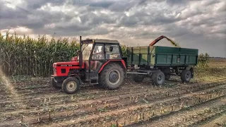 Siláže 2023 - 4x Zetor (5211,7211,8111,10111+NH790), DF 105 [dron]