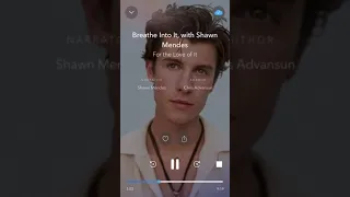 Shawn Mendes Calm Meditation Snippet taking about Camila Cabello at The Grammys