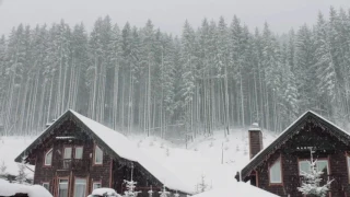 Blizzard Storm Sounds | Расслабляющие звуки зимнего фона | Сильный ветер и снег