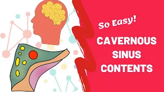 Cavernous Sinus Contents | Easy Mnemonic