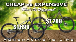 Cheap Mountain Bike vs expensive Mountain Bike | Why The Big Difference?