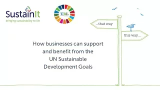 How businesses can support and benefit from the UN Sustainable Development Goals