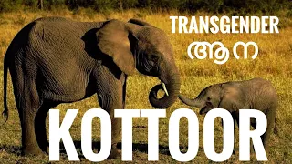 Kottoor Elephant Rehabilitation Center Kappukadu | കോട്ടൂരിലെ ആനകഥകൾ കാണാം