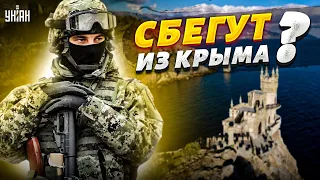 Орки готовы бежать из Крыма. "Гоблина" Аксенова кинут на растерзание ВСУ