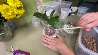 ПЕРЕСАДКА ОРХИДЕИ в НЕ ГНИЮЩИЙ грунт для любого способа полива орхидей