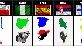 What  Do Maps of Different Countries Look Like