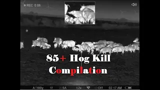 Hog Kill Compilation: Thermal Hog Hunting