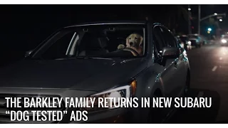 Doggie Bag - Subaru Commercial with The Barkley's