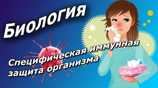 Специфическая иммунная защита организма