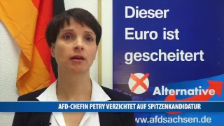 AfD-Chefin Frauke Petry verzichtet auf Spitzenkandidatur