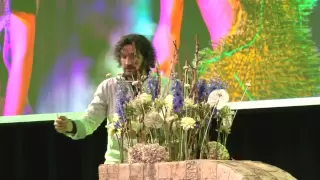 Making everyday life extraordinary -- with flowers | Pim van den Akker | TEDxDelft