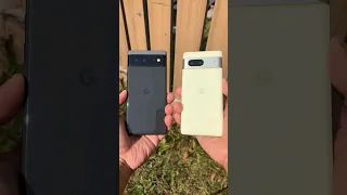 Pixel 6 vs Pixel 7 camera test! #pixel6 #pixel7