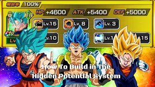 (Dokkan Battle) How To Optimally Build Your Units in the Hidden Potential System!