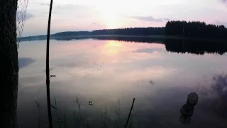 Семейная рыбалка на донки. На две ночи.